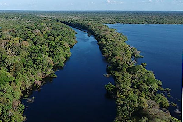 Amazonas and Negro + Anavilhanas