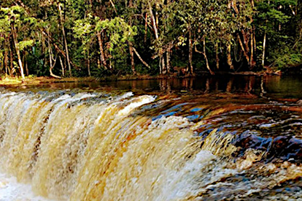 Amazonas, Negro, Anavilhas y Cascadas